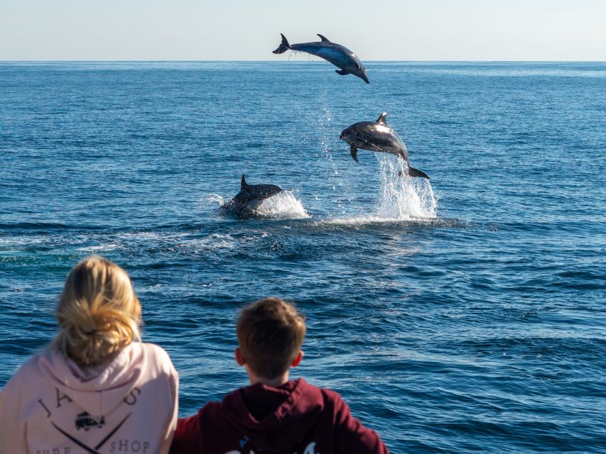 Dana Point Dolphin & Whale Watching With Underwater Viewing - Operational Information