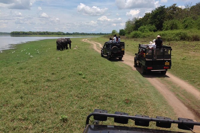 Day Tour From Colombo to Sigiriya, Pidurangala Rock & National Park Safari - Traveler Photos