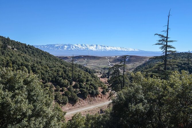 Day Tour From Fes to Middle Atlas (Imouzzer, Ifrane, and Azrou) - Lunch Break