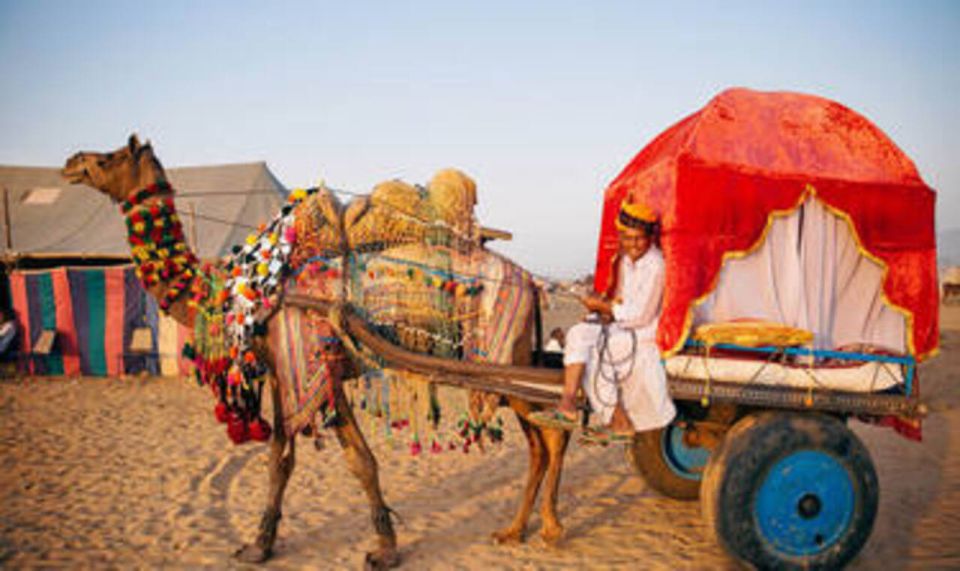 Day Tour From Pushkar Without Guide - Inclusions