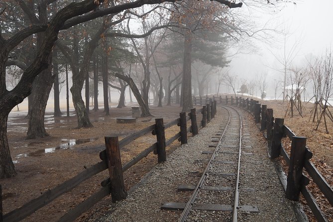 Day Tour to Gangchon Rail Bike Nami Island and Petite France - Contact and Support