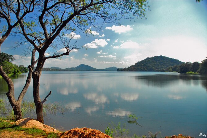 Day Tour to Minneriya National Park,Sigiriya & Dambulla From Kandy - Customer Reviews