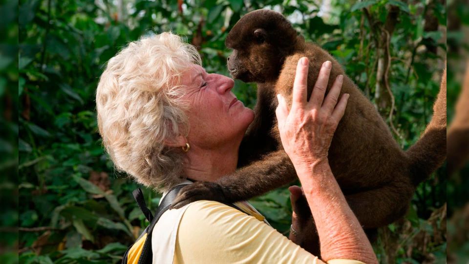 Day Trip on the Amazon River. - Common questions