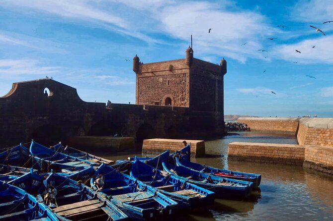 Day Trip to Essaouira - Final Thoughts