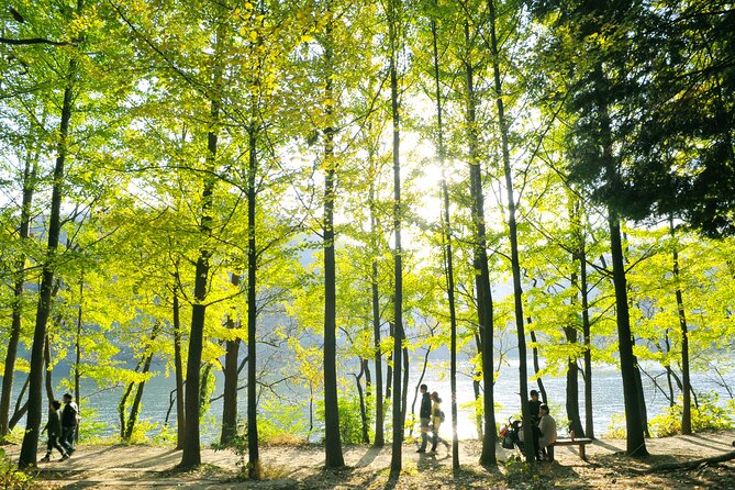 Day Trip to Nami Island With Rail Bike and the Garden of Morning Calm - Overall Experience and Recommendations
