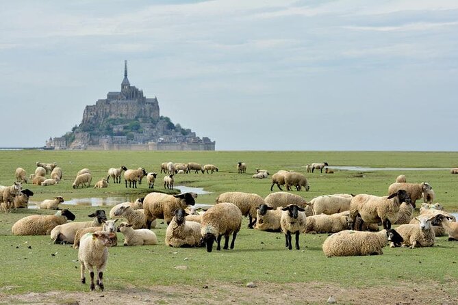 Day Trip With a Local Driver Mont Saint-Michel From Saint-Malo - 6 Hours - Additional Information and Resources