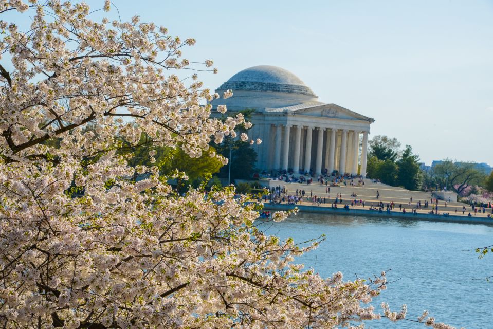 DC: Hop-on Hop-off Bus Tour & Sightseeing Water Taxi Cruise - Additional Information