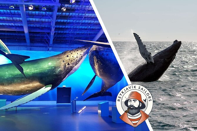 Deluxe Whale Watching and Whales of Iceland Exhibition Combo From Reykjavik - Additional Information and Tripadvisor Reviews