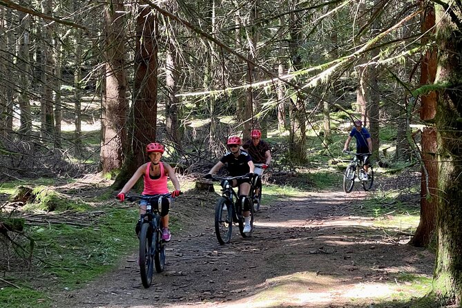 Descent of the Semnoz by Enduro Mountain Bike - Last Words