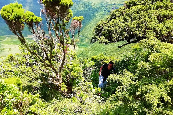 Descent to Caldeira Do Faial - the Perfect Adventure - Getting There