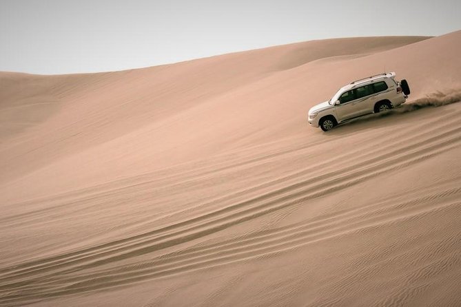Desert Combo Safari, Camel Ride, Quad Bike and Dune Bashing(All Inclusive) - Customer Reviews and Recommendations