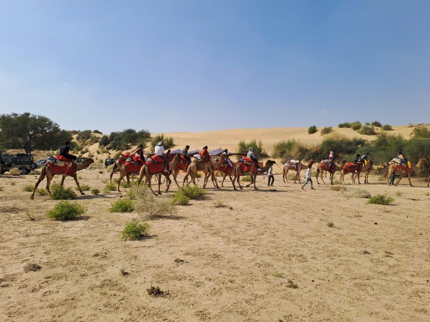 Desert Rose Jaisalmer: Luxury Tent In Thar Desert - Location and Booking Information