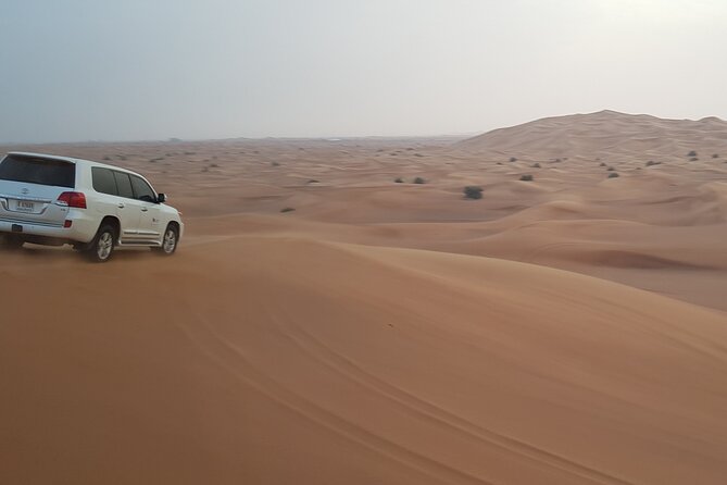 Desert Safari Dubai - Highlights and Criticisms