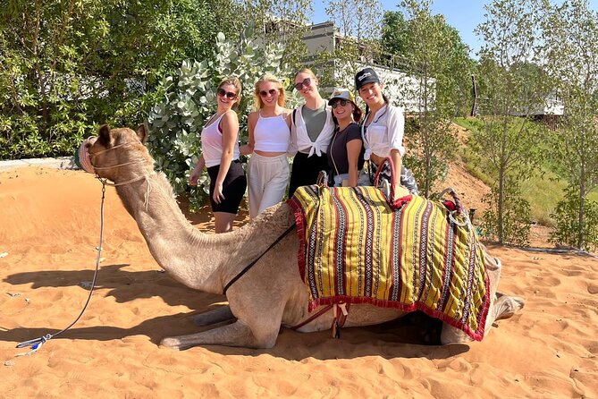 Desert Safari With BBQ Dinner and Camel Ride Experience From Dubai - Common questions