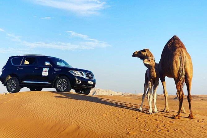 Desert Safari With BBQ Dinner, Quad Bike & Camel Ride From Dubai - Overall Experience
