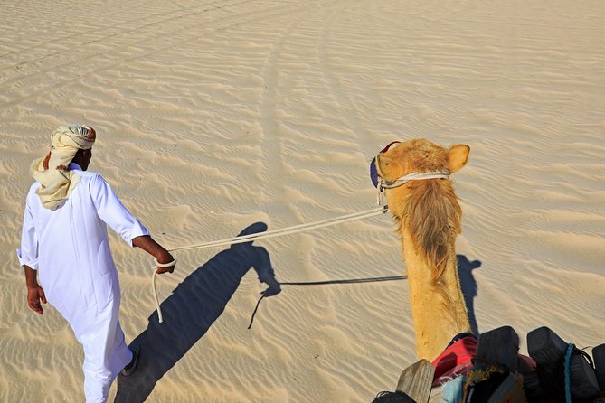 Desert Safari With Camel Ride, Sand Boarding & Inland Sea Tour in Doha - Must-Do Activities