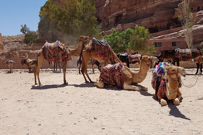 Desert Sunset Camel Ride With Free Tea in The Desert Camp - Accessibility Details