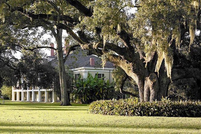 Destrehan Plantation and Swamp Tour From New Orleans - Directions and Recommendations