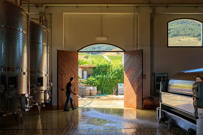 Di Giovanna Winery Tour & 5 Wine Tasting - Additional Details and Experience Highlights