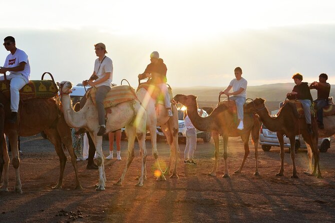 Dinner and Camel Ride in the Marrakech Agafay Desert - Customer Support Details