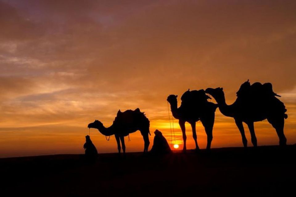 Dinner in Agafay Desert at Berber Camp With Sunset & Star's - Additional Details and Tips