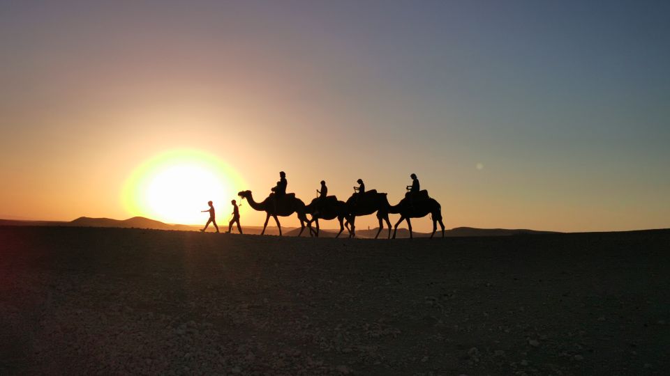 Dinner Show and Sunset Camel Riding at Agafay Desert - Argan Oil Demonstration and Tea Tasting