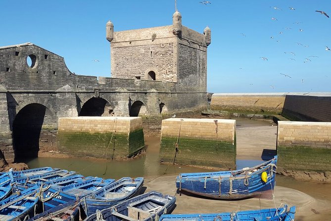 Discover Essaouira From Marrakech on a Private Day Trip - Key Points