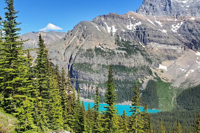 Discover Lake Louise & Moraine Lake : Day Trips From Calgary - Picnic and Relaxation Spots