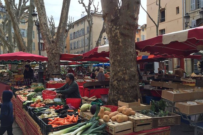 Discover Provence Including Avignon and Luberon Villages With a Local Guide - Additional Information
