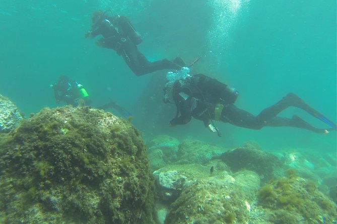 Discover Scuba Diving - Scuba Diving Locations and Destinations