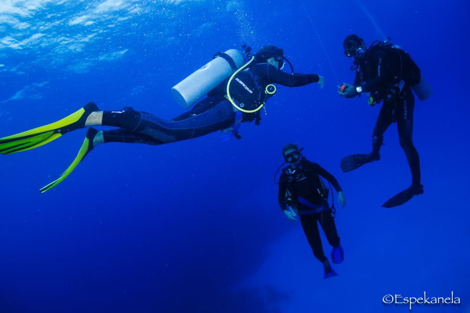 Discover Scuba Diving: Costa Maya's Reef Experience - Mahahual Dive Center Details