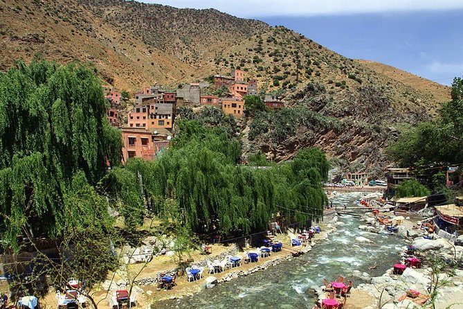 Discover the Atlas Mountains and Its Waterfall, Half Day Tour - Customer Reviews