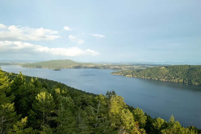 Discover Vancouver Island & Malahat SkyWalk & Cidery Tour - Customer Reviews