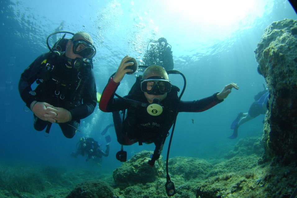 Discovery Dive - 2 Hour Uncertified Diver Introductory Dive - Booking Details and Pricing