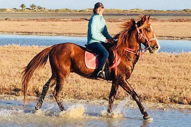 Discovery Ride on Horseback or Camel 2h30 - Additional Information