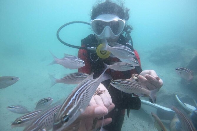Discovery Scuba Diving in Dubai - Traveler Photos and Reviews
