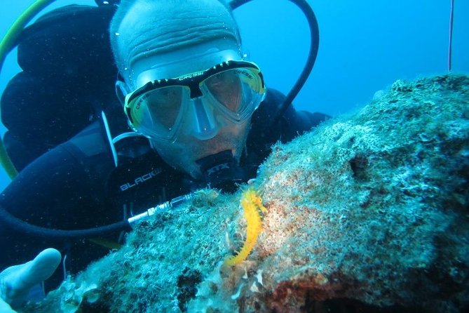 Discovery Scuba Diving Taormina & Isola Bella - Exploring Taorminas Underwater World