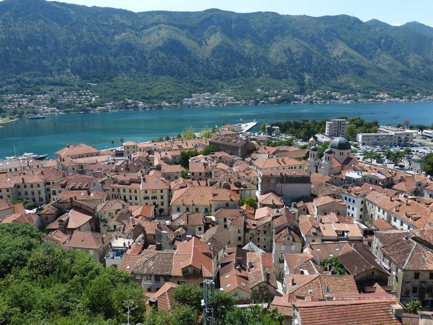 Dive Into Kotor's Charm on FD Tour: Mount Lovcen Cable Car - Experience Description