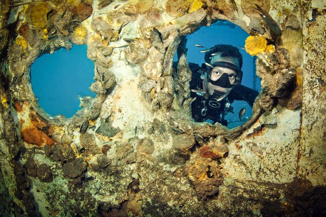 Diving at Koh Chang, Daytrip With 2 Dives - Reviews and Feedback