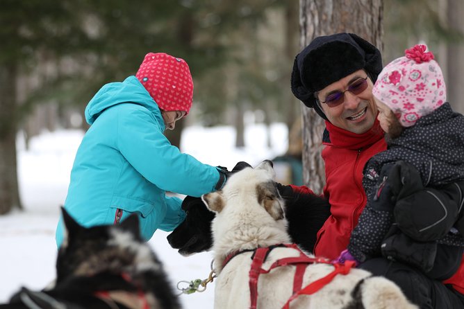 Dogsled Adventure in Mont-Tremblant - Viator Information and Customer Feedback