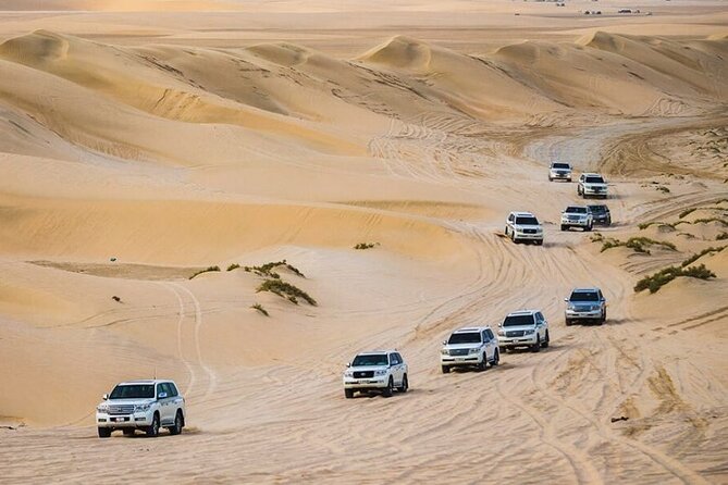 Doha Desert Safari With Camel Ride, Sand Boarding,Inland Sea Tour - Pricing and Packages