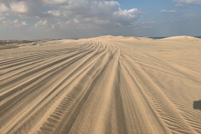Doha : Night Desert Safari Transit Safari Camel Ride Dune Bashing - Safari Timing