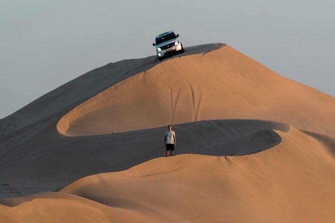 Doha Private Half Day Desert Safari Camel Ride Sand-Boarding - Reviews