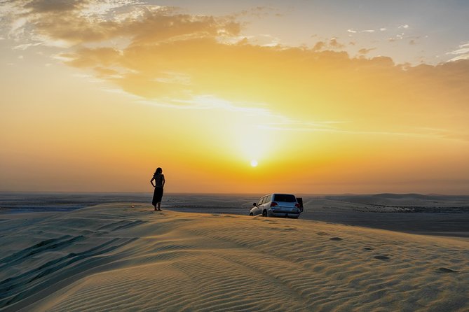 Doha Sunset Safari: Camel Trek With Dune Bashing and Sandboarding - Customer Reviews and Satisfaction