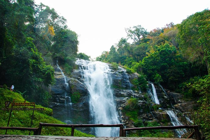 Doi Inthanon National Park 1-Day Tour With Nature Trail Trekking - Traveler Tips and Reviews