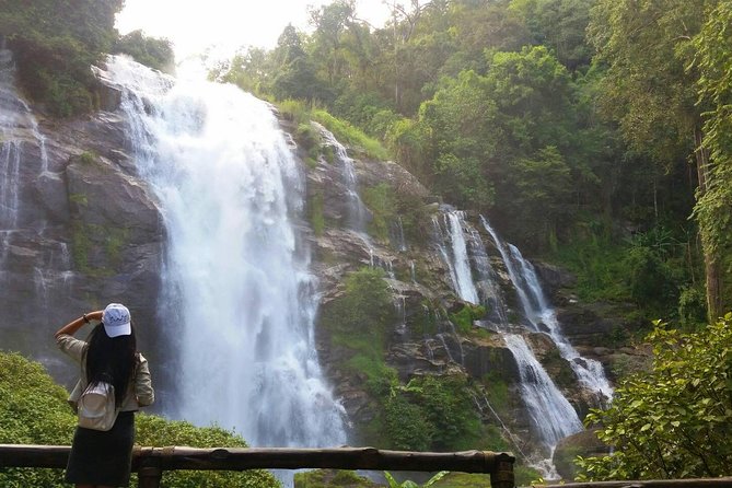 Doi Inthanon National Park, Waterfall and Royal Project Tour - Customer Reviews