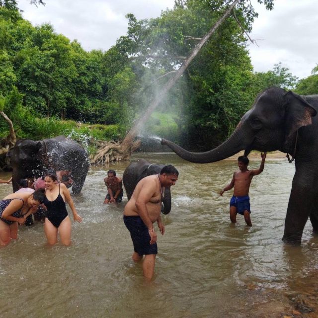 Doi Inthanon, Trekking Nature Trail, Elephant Tour - Location Details