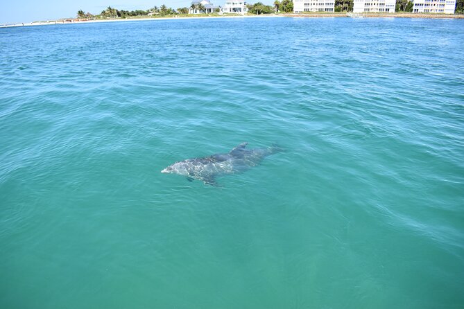 Dolphin Tiki Cruise Around Fort Myers Beach - Cancellation Policy Details