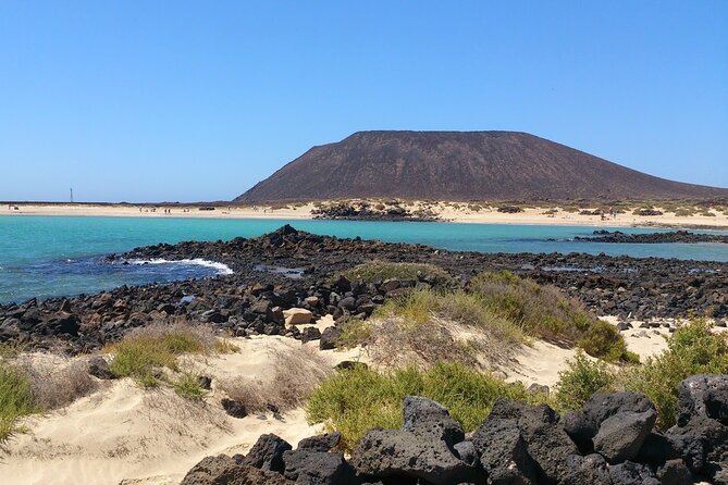 Dolphin Watching Cruise to Lobos Island - Common questions