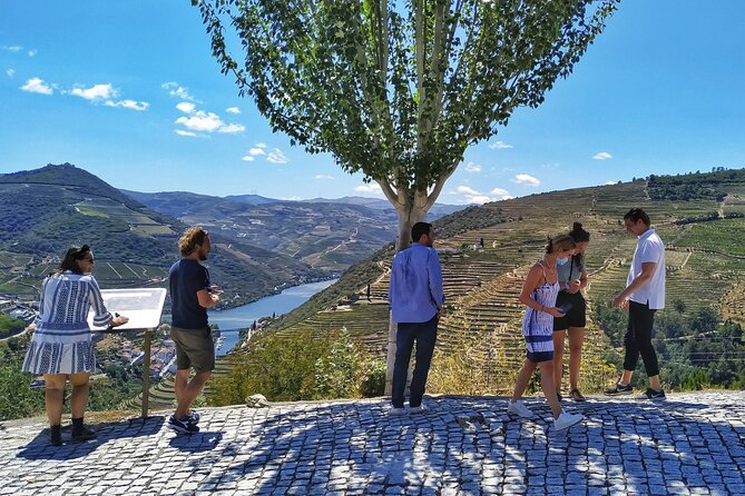 Douro Valley Prime Tour: Wine Tasting, Boat and Lunch From Porto - Highlighted Attractions